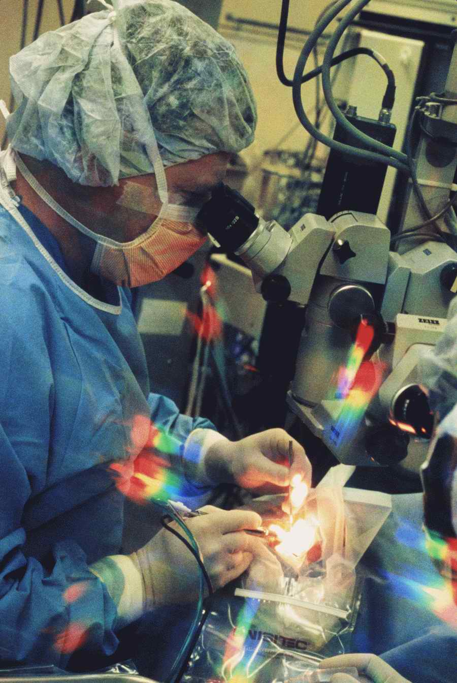 Health & Medicine - Photodisc ></a>
<script language=JavaScript> 
  var txt = 