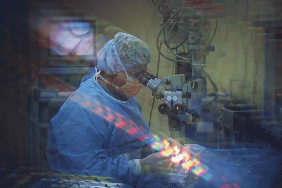 Health & Medicine - Photodisc ></a>
<script language=JavaScript> 
  var txt = 