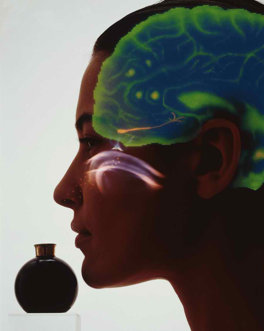 Health & Medicine - Photodisc ></a>
<script language=JavaScript> 
  var txt = 