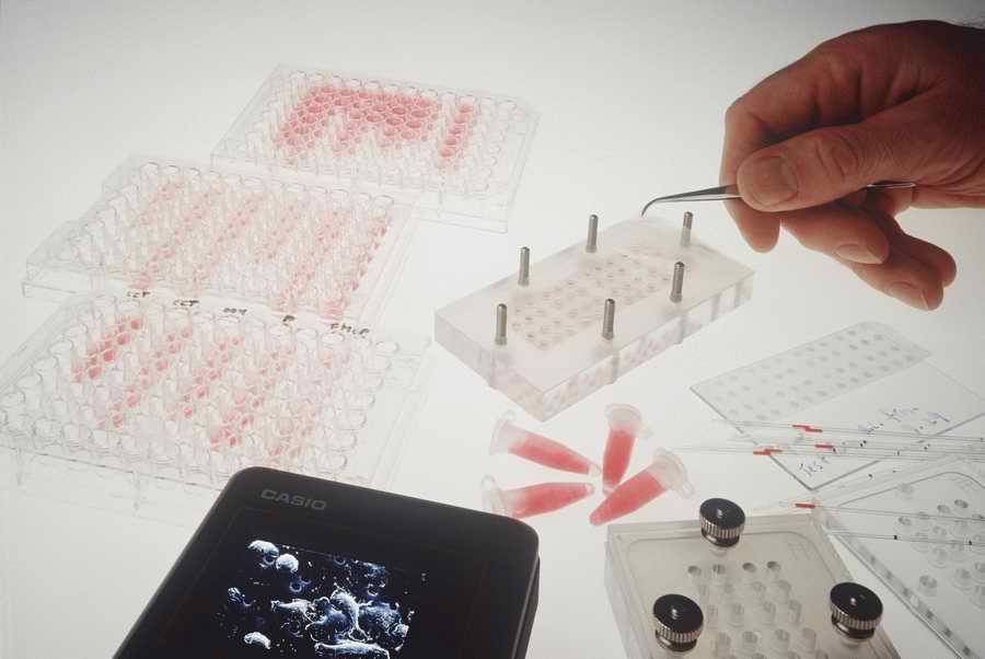 Health & Medicine - Photodisc ></a>
<script language=JavaScript> 
  var txt = 