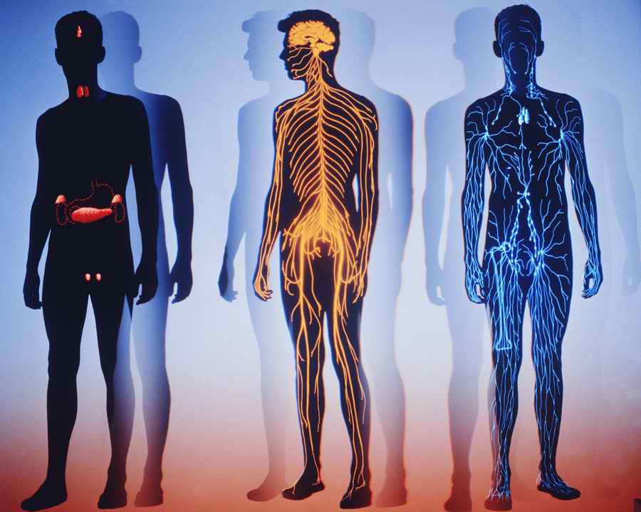 Health & Medicine - Photodisc ></a>
<script language=JavaScript> 
  var txt = 