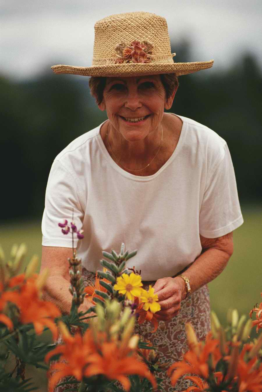 Health & Medicine - Photodisc ></a>
<script language=JavaScript> 
  var txt = 