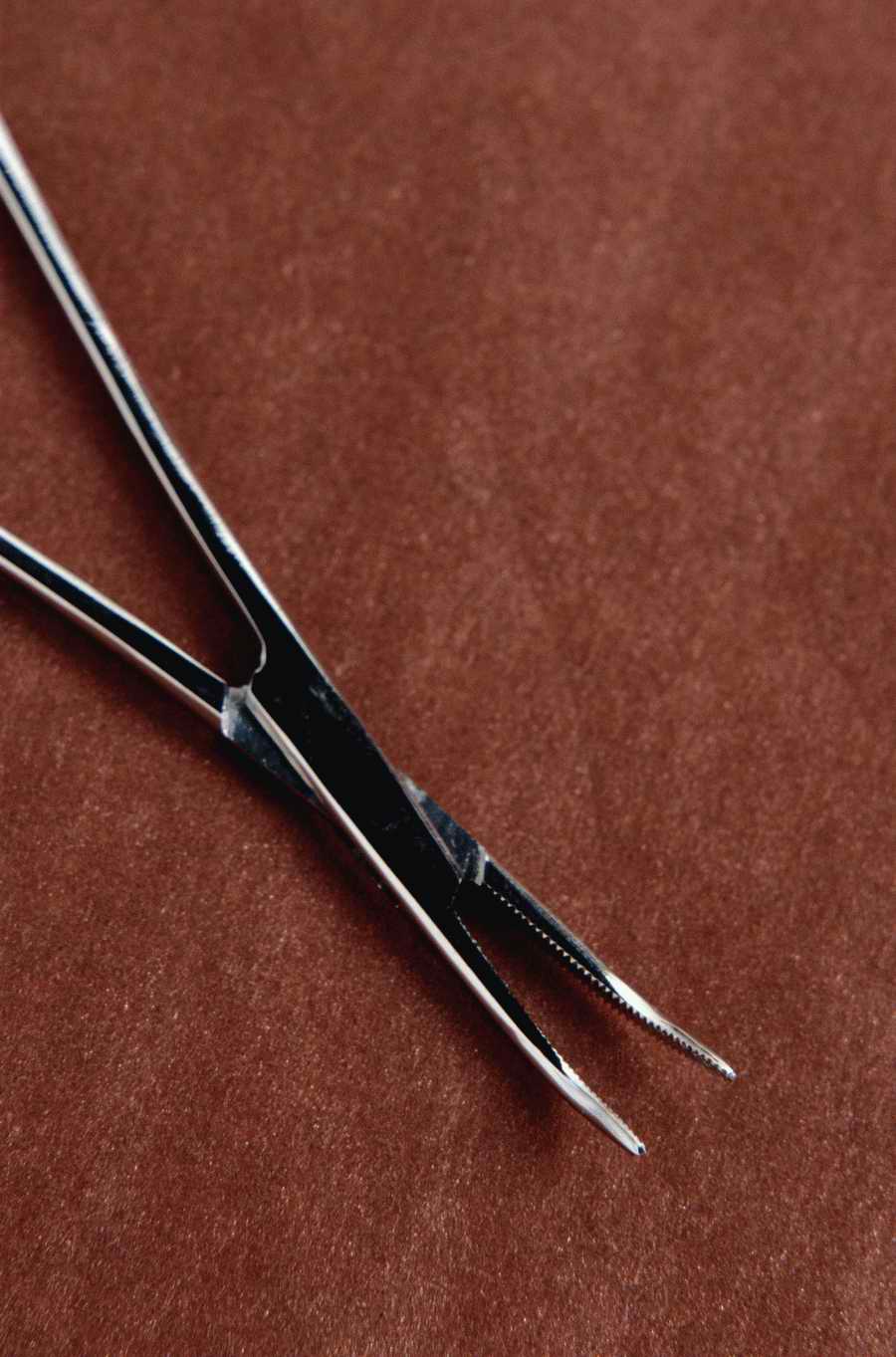 Health & Medicine 2 - Photodisc ></a>
<script language=JavaScript> 
  var txt = 