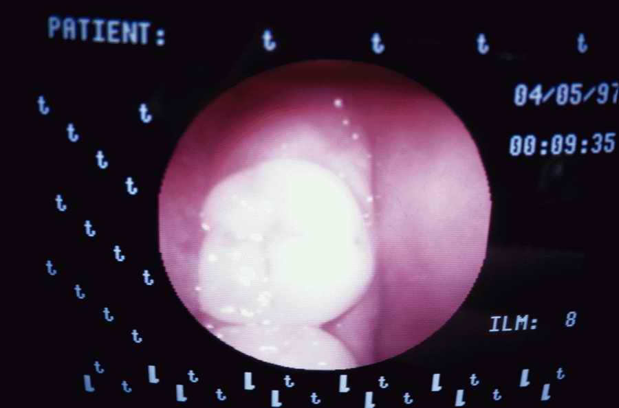 Health & Medicine 2 - Photodisc ></a>
<script language=JavaScript> 
  var txt = 