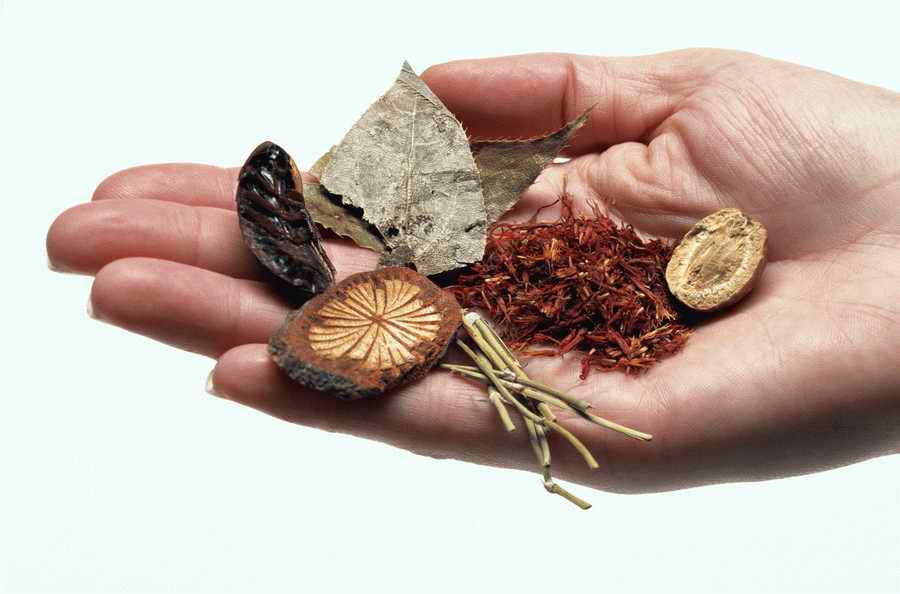 Health & Medicine 2 - Photodisc ></a>
<script language=JavaScript> 
  var txt = 