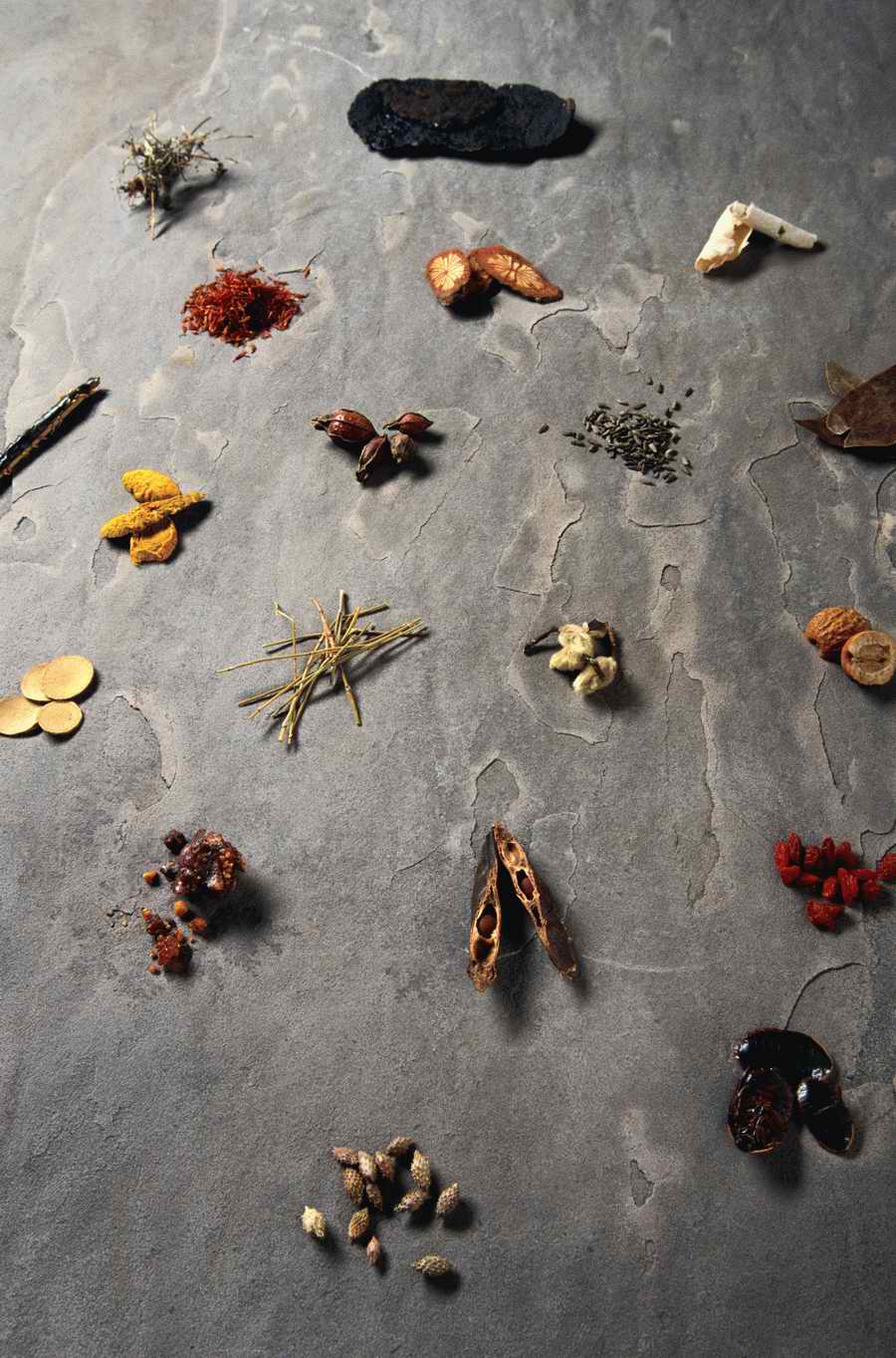 Health & Medicine 2 - Photodisc ></a>
<script language=JavaScript> 
  var txt = 