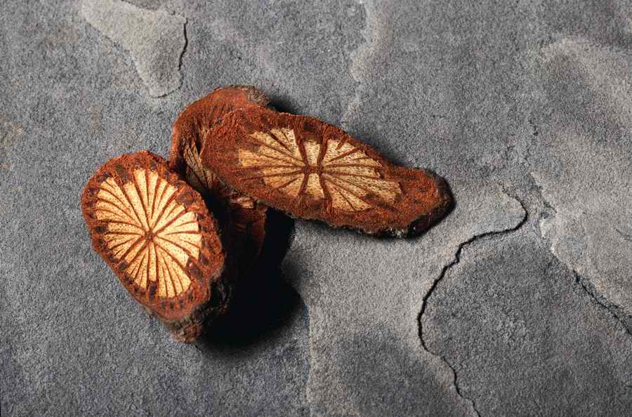 Health & Medicine 2 - Photodisc ></a>
<script language=JavaScript> 
  var txt = 