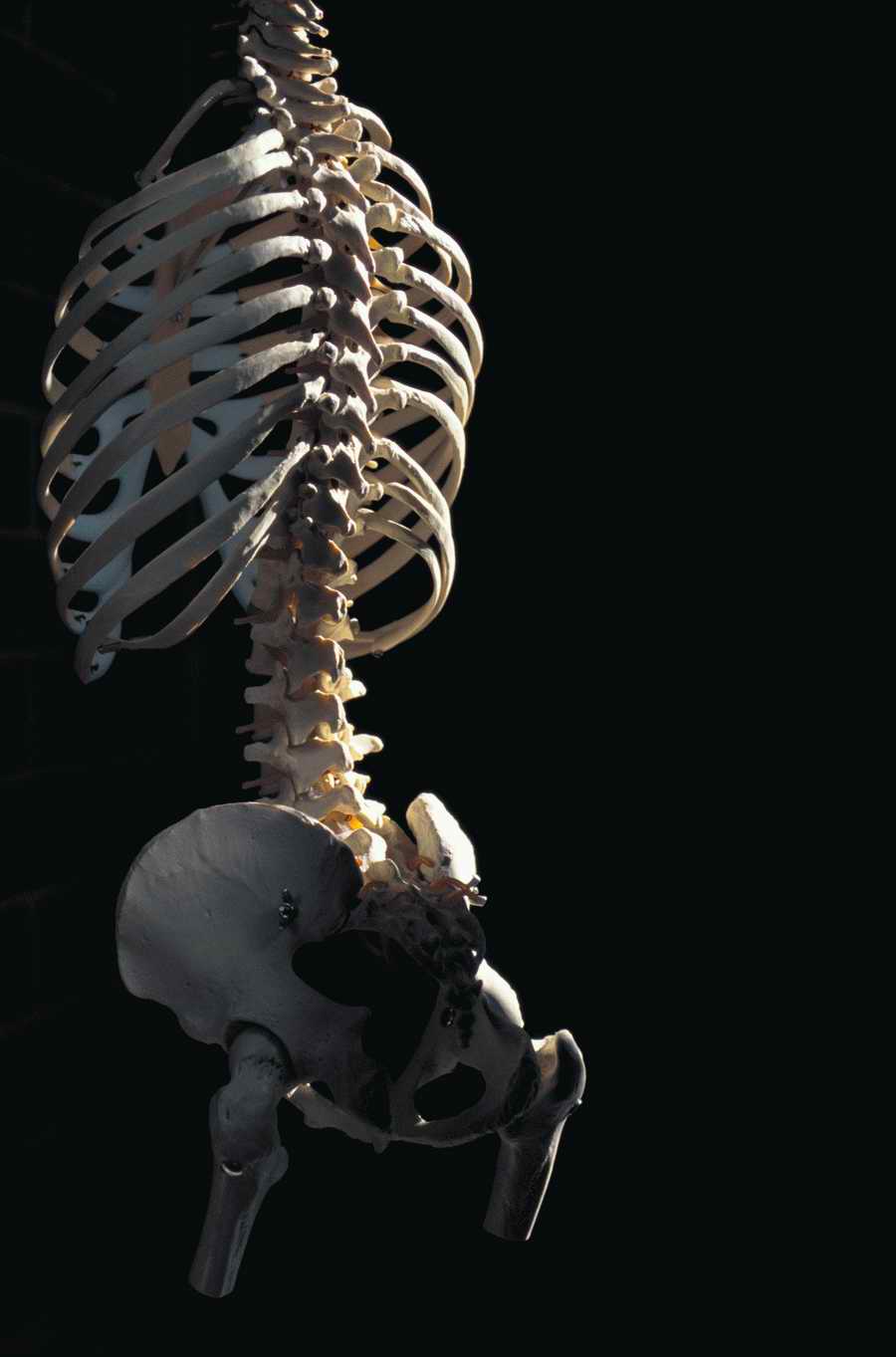 Health & Medicine 2 - Photodisc ></a>
<script language=JavaScript> 
  var txt = 