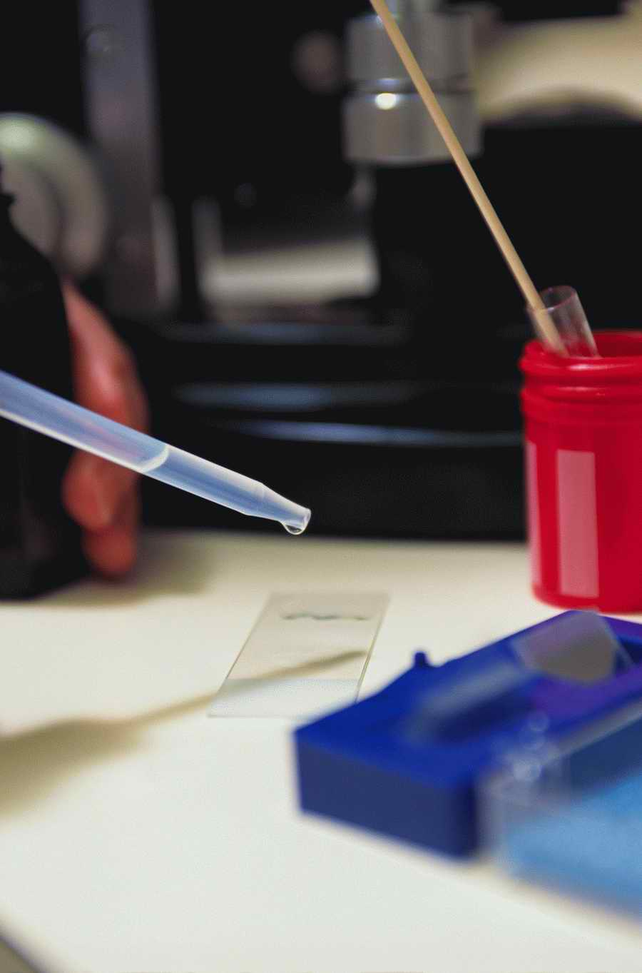 Health & Medicine 2 - Photodisc ></a>
<script language=JavaScript> 
  var txt = 