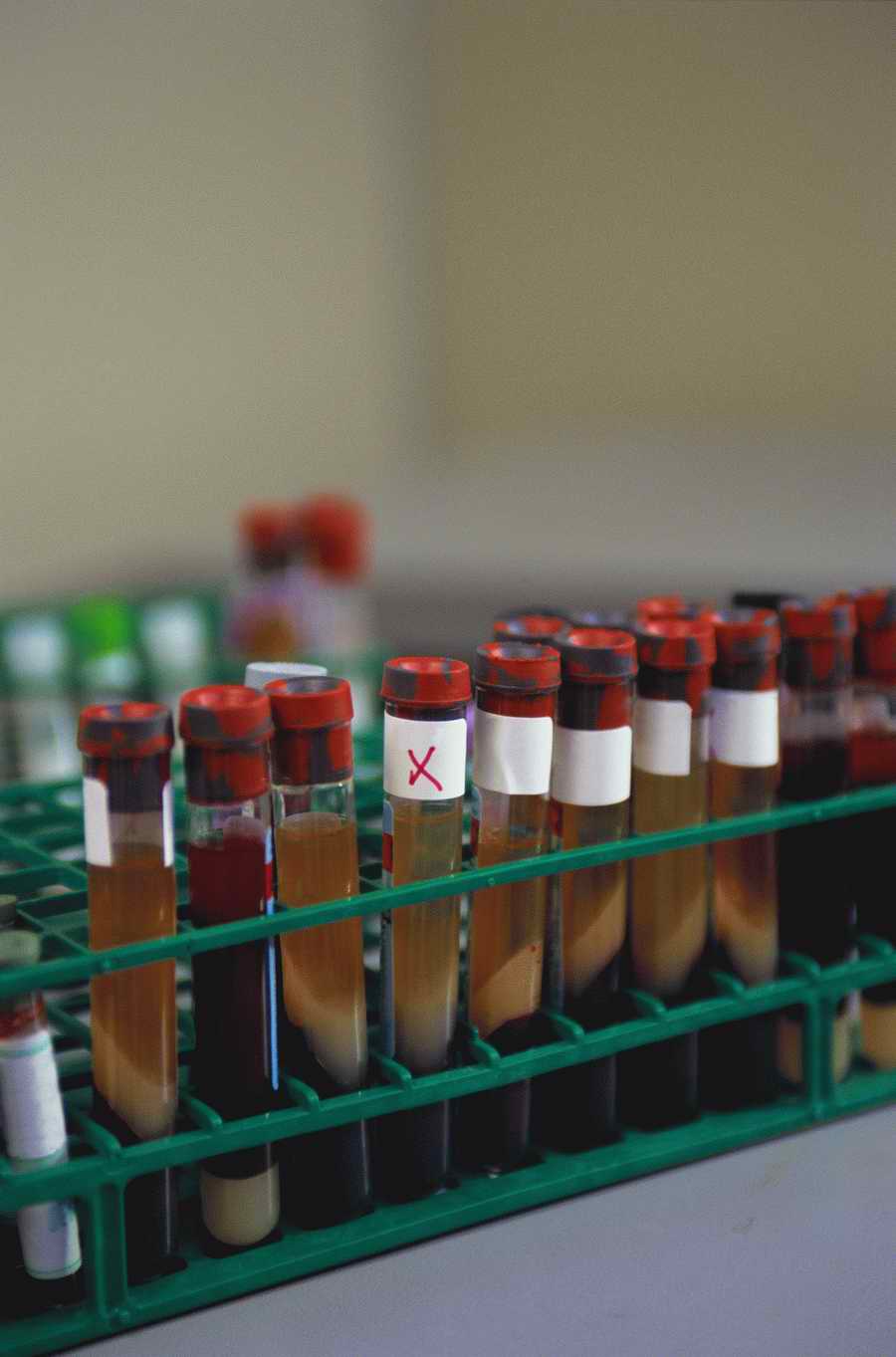 Health & Medicine 2 - Photodisc ></a>
<script language=JavaScript> 
  var txt = 