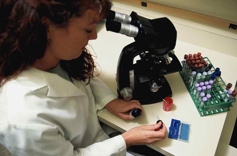 Health & Medicine 2 - Photodisc ></a>
<script language=JavaScript> 
  var txt = 