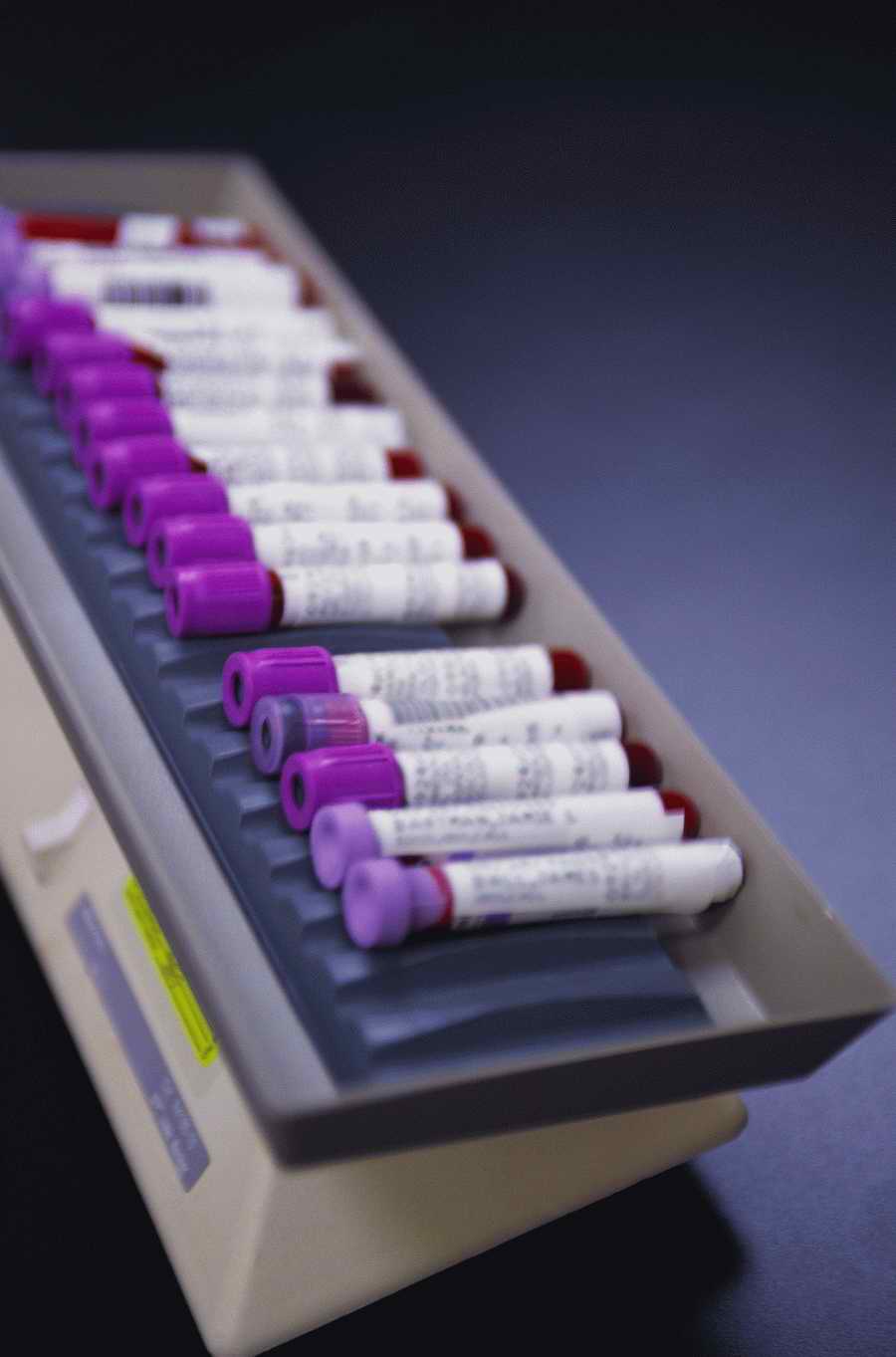 Health & Medicine 2 - Photodisc ></a>
<script language=JavaScript> 
  var txt = 