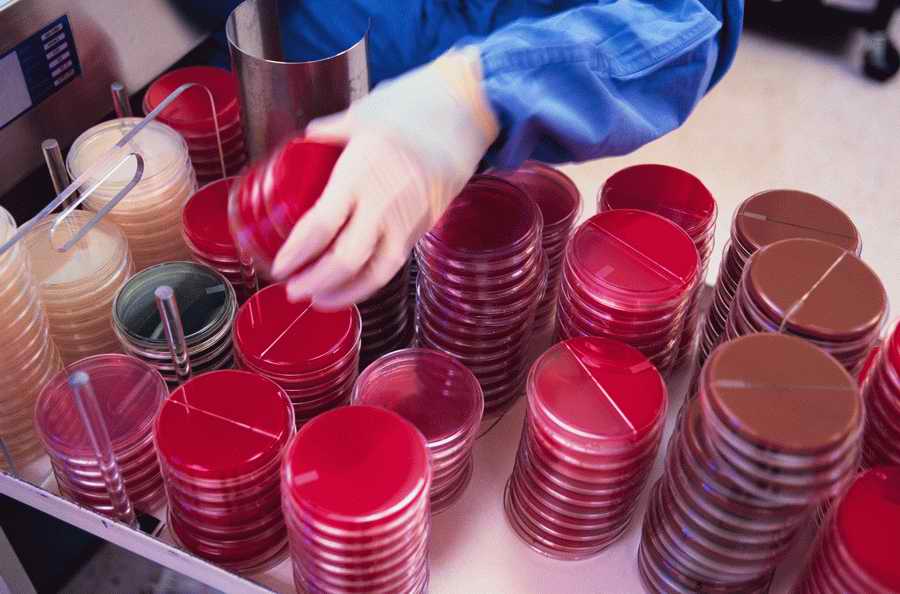 Health & Medicine 2 - Photodisc ></a>
<script language=JavaScript> 
  var txt = 