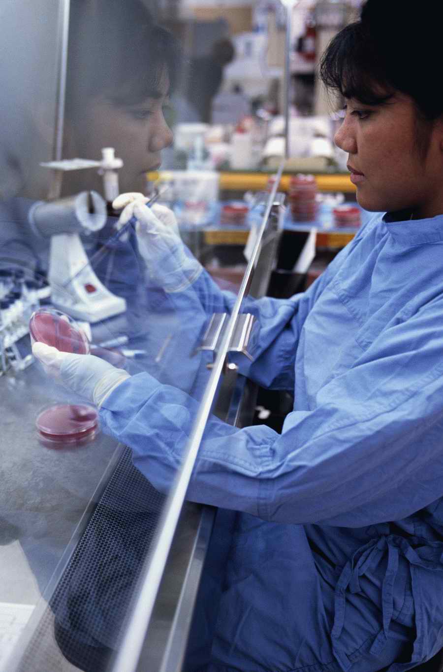 Health & Medicine 2 - Photodisc ></a>
<script language=JavaScript> 
  var txt = 