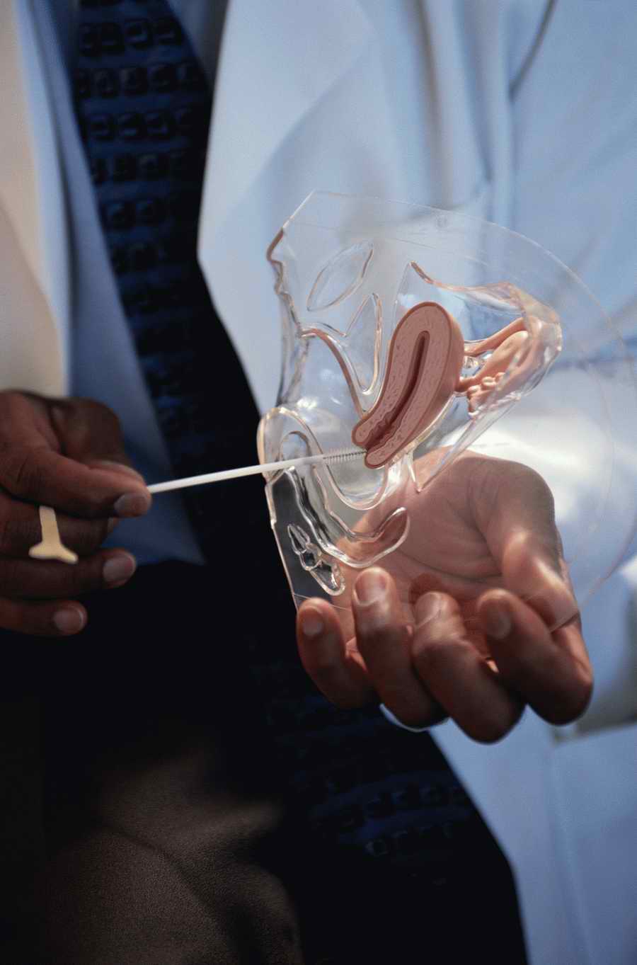 Health & Medicine 2 - Photodisc ></a>
<script language=JavaScript> 
  var txt = 