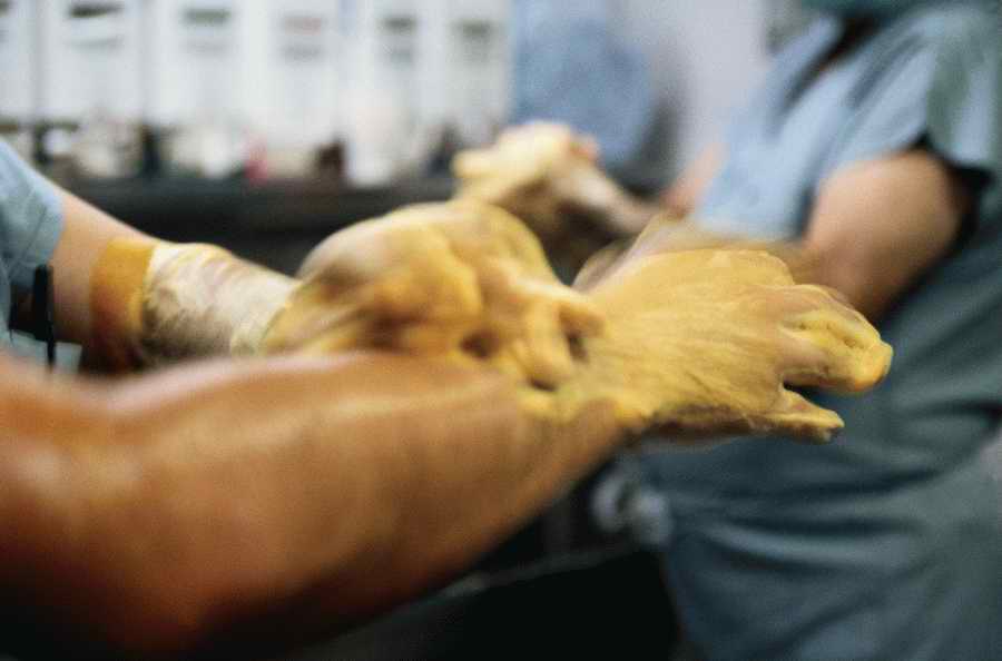 Health & Medicine 2 - Photodisc ></a>
<script language=JavaScript> 
  var txt = 