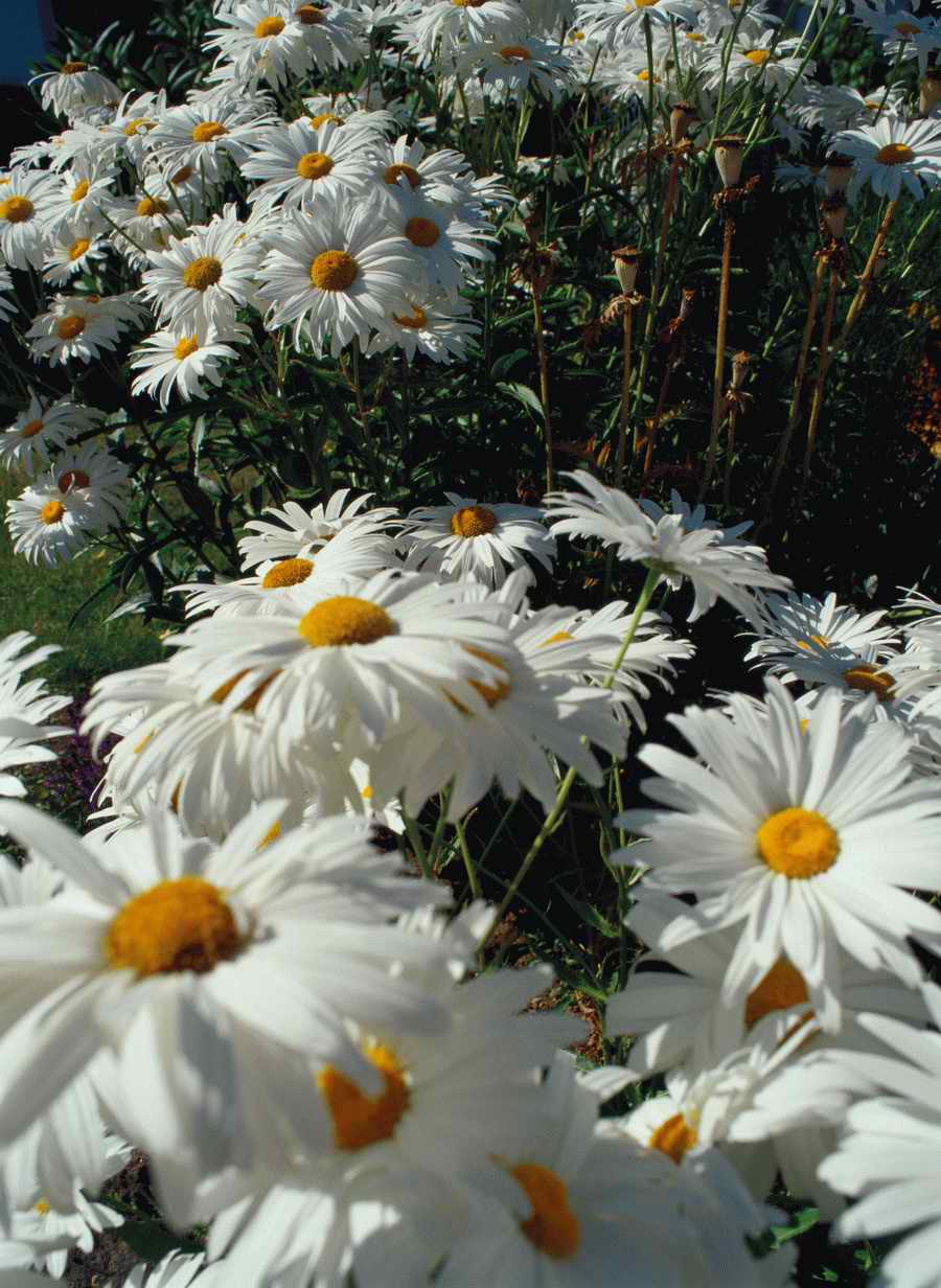 Home and Office - Photodisc ></a>
<script language=JavaScript> 
  var txt = 