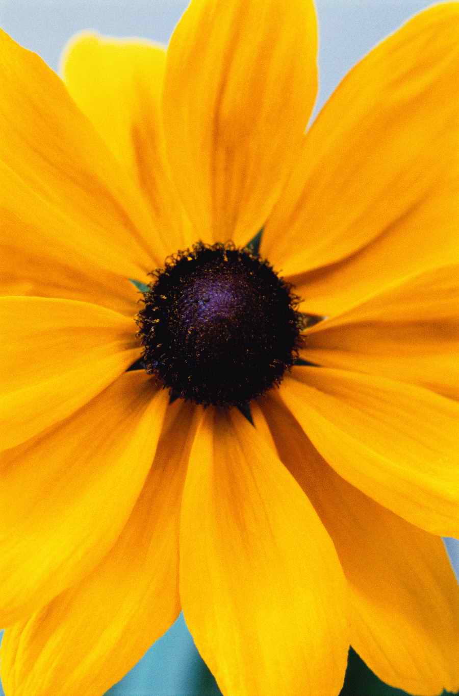 Home and Office - Photodisc ></a>
<script language=JavaScript> 
  var txt = 