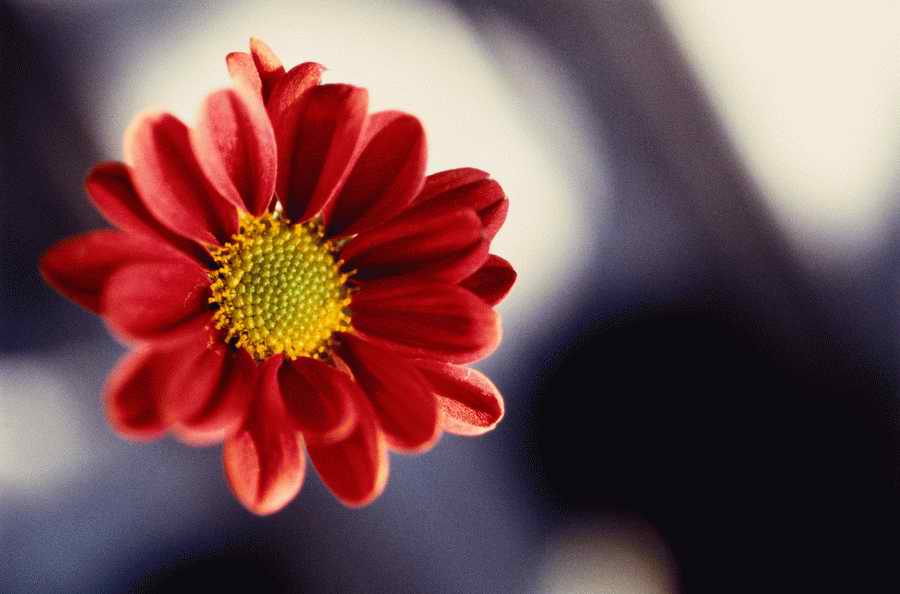 Home and Office - Photodisc ></a>
<script language=JavaScript> 
  var txt = 