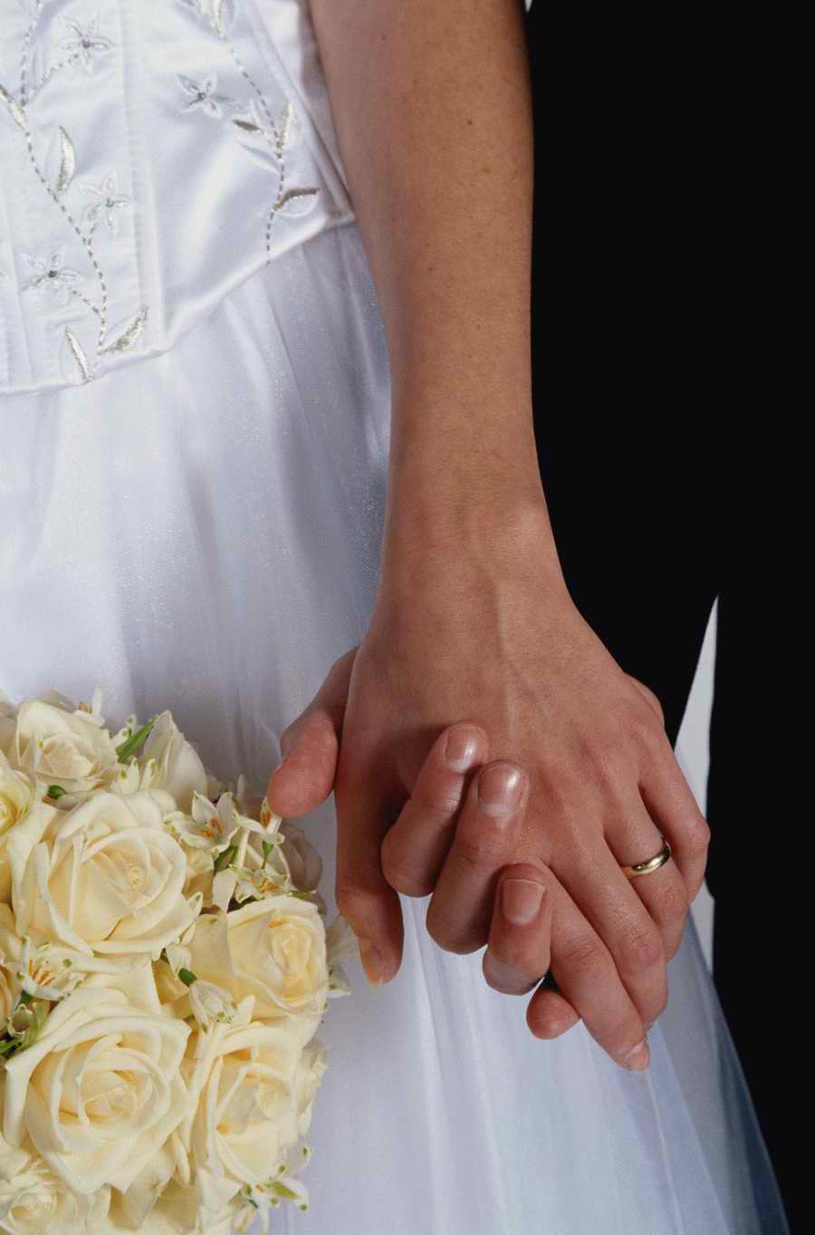 Holidays, Celebrations & Seasons - Photodisc ></a>
<script language=JavaScript> 
  var txt = 