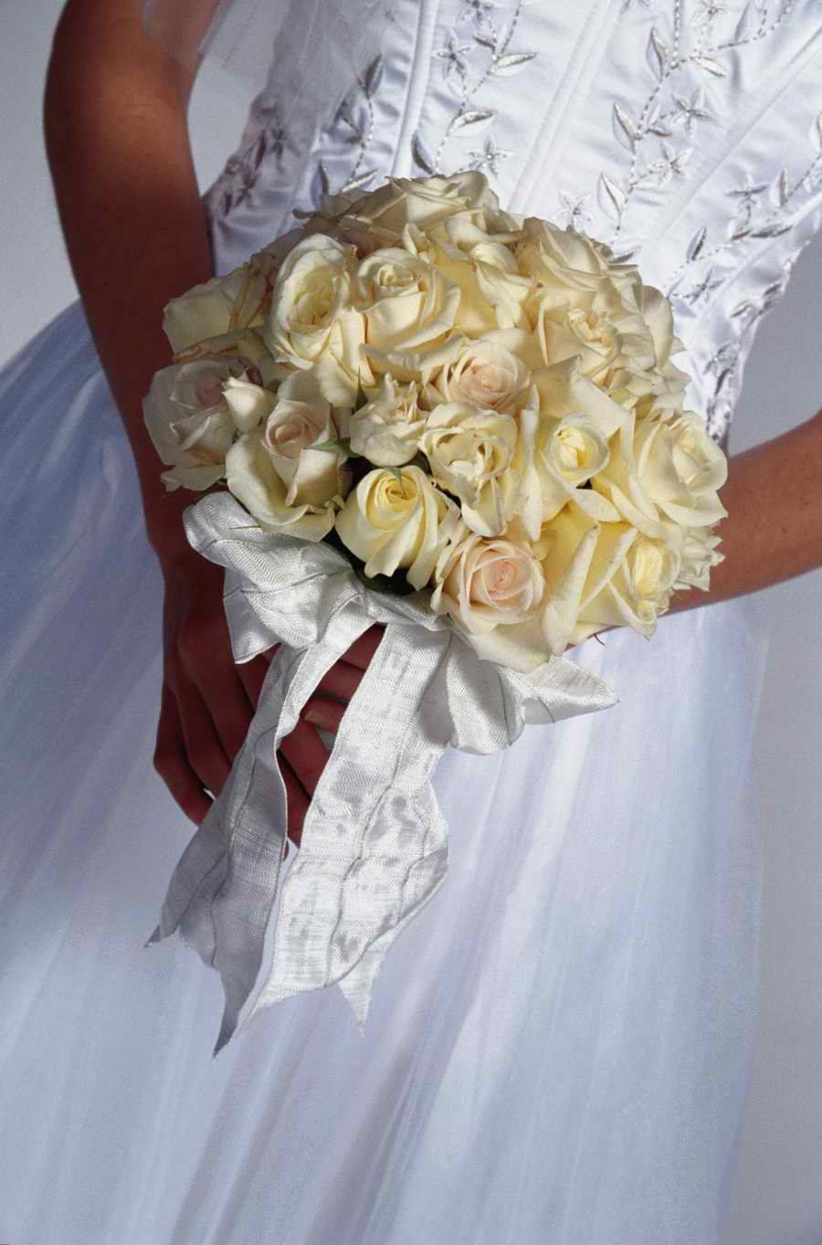 Holidays, Celebrations & Seasons - Photodisc ></a>
<script language=JavaScript> 
  var txt = 