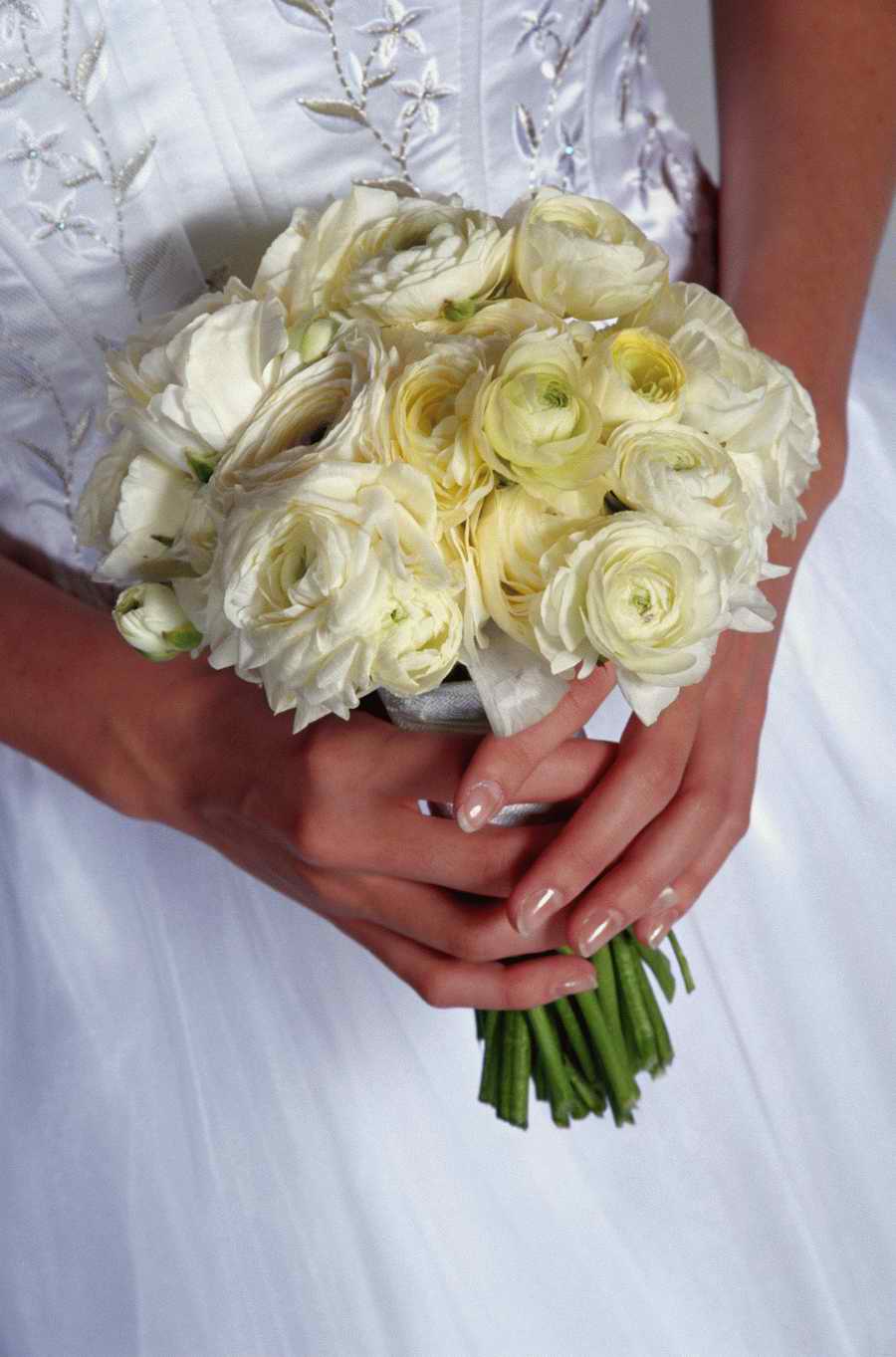 Holidays, Celebrations & Seasons - Photodisc ></a>
<script language=JavaScript> 
  var txt = 