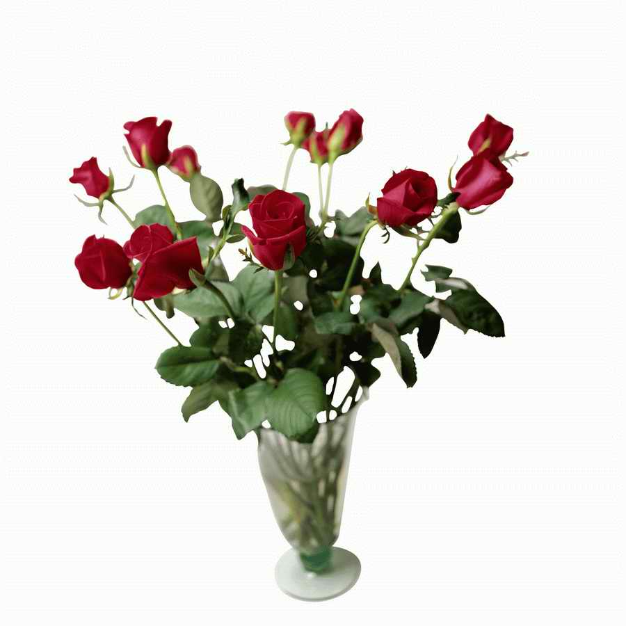 Holidays, Celebrations & Seasons - Photodisc ></a>
<script language=JavaScript> 
  var txt = 