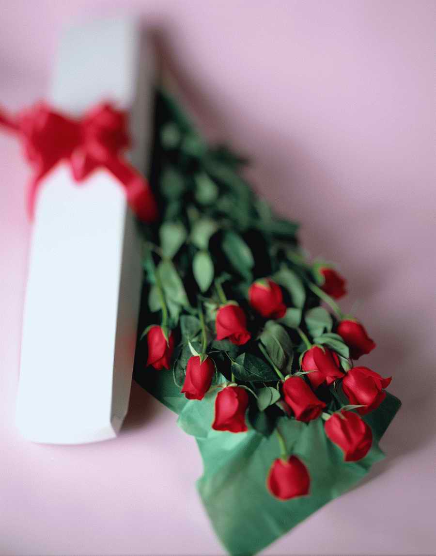 Holidays, Celebrations & Seasons - Photodisc ></a>
<script language=JavaScript> 
  var txt = 