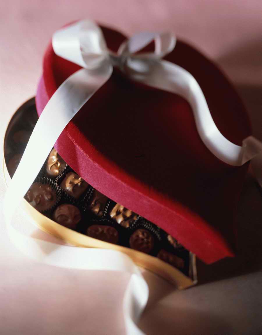 Holidays, Celebrations & Seasons - Photodisc ></a>
<script language=JavaScript> 
  var txt = 