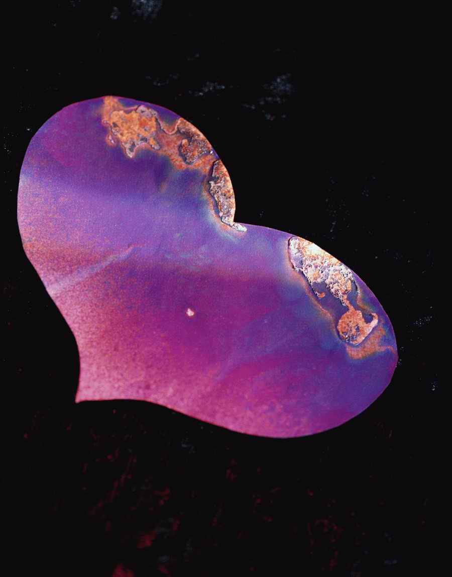 Holidays, Celebrations & Seasons - Photodisc ></a>
<script language=JavaScript> 
  var txt = 