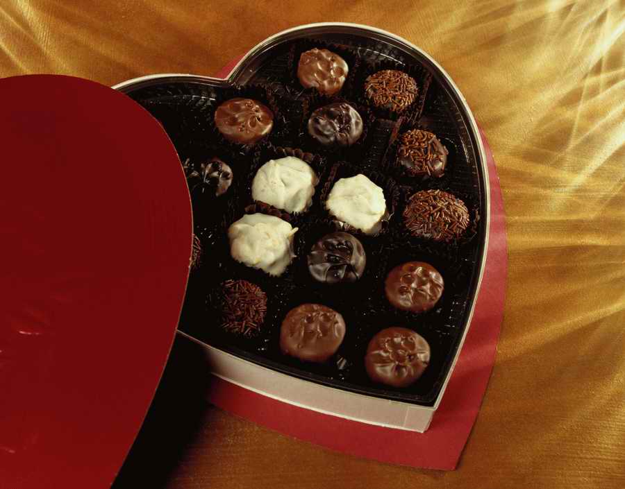 Holidays, Celebrations & Seasons - Photodisc ></a>
<script language=JavaScript> 
  var txt = 