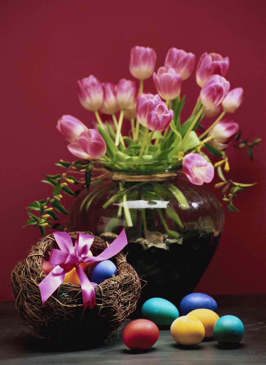 Holidays, Celebrations & Seasons - Photodisc ></a>
<script language=JavaScript> 
  var txt = 