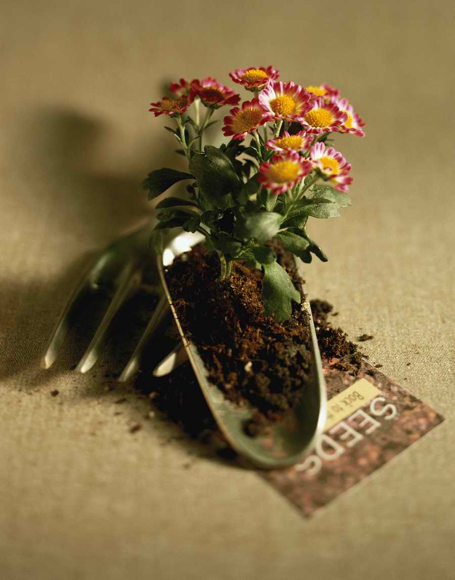 Holidays, Celebrations & Seasons - Photodisc ></a>
<script language=JavaScript> 
  var txt = 