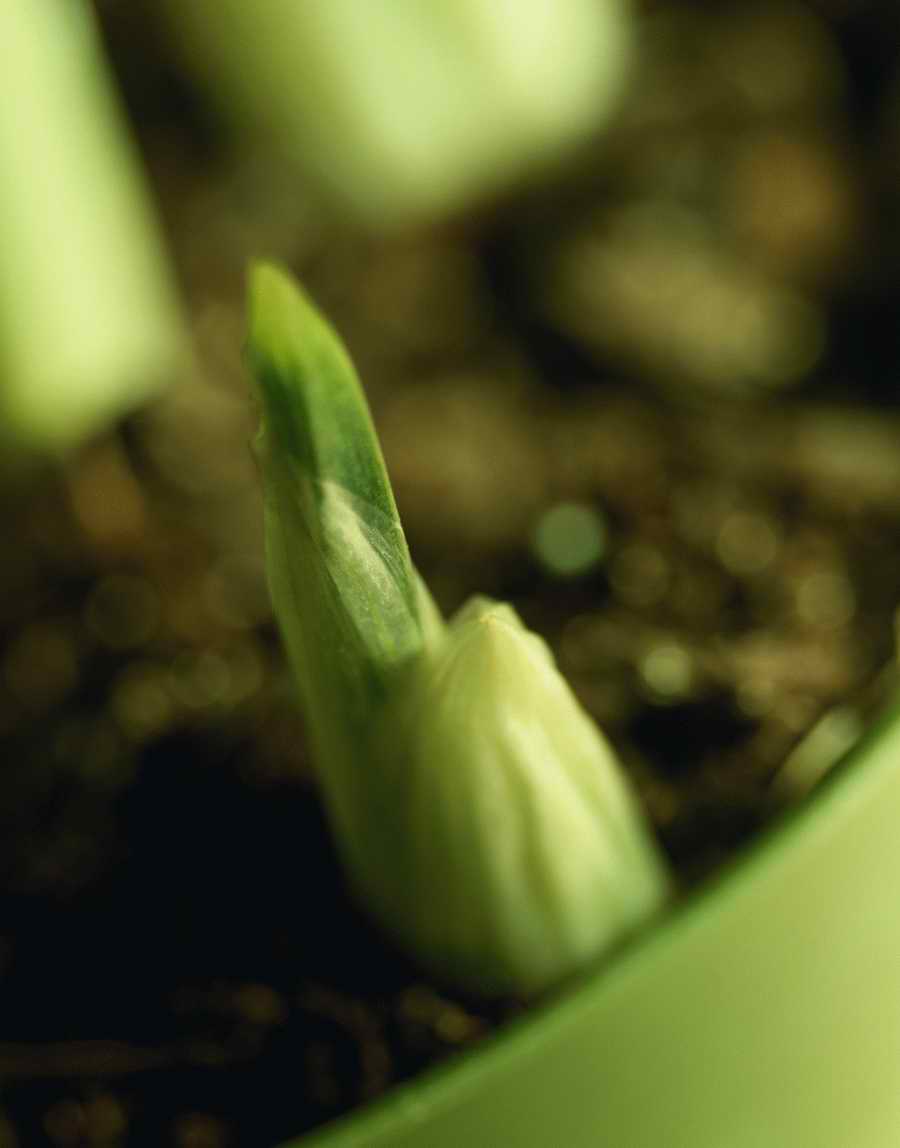 Holidays, Celebrations & Seasons - Photodisc ></a>
<script language=JavaScript> 
  var txt = 