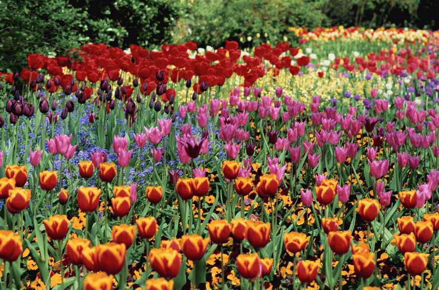 Holidays, Celebrations & Seasons - Photodisc ></a>
<script language=JavaScript> 
  var txt = 