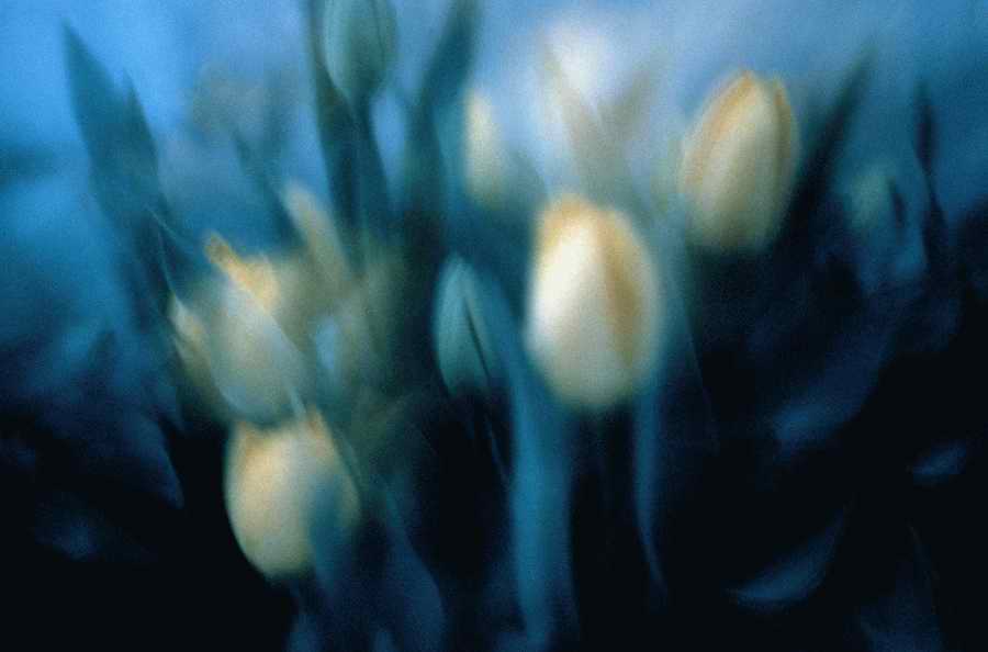 Holidays, Celebrations & Seasons - Photodisc ></a>
<script language=JavaScript> 
  var txt = 