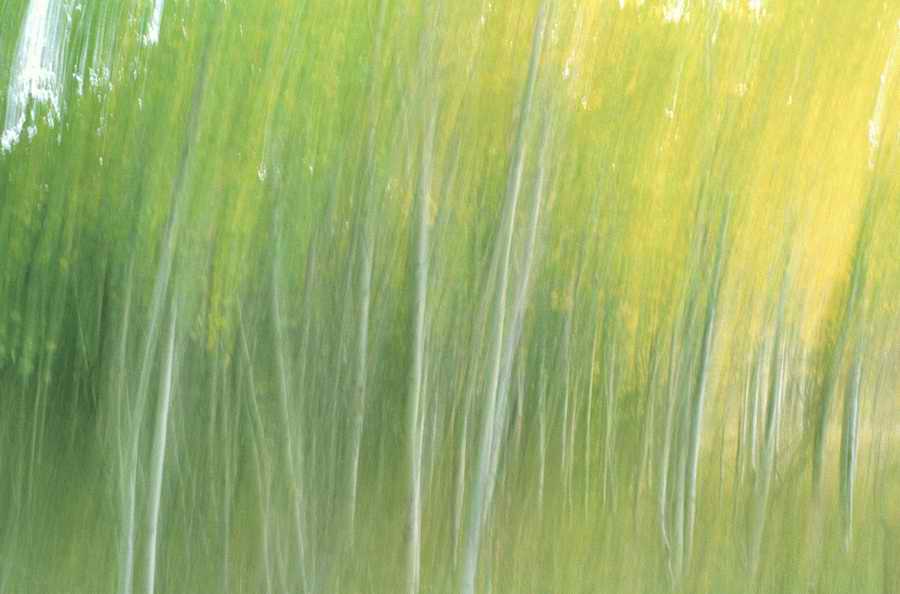 Holidays, Celebrations & Seasons - Photodisc ></a>
<script language=JavaScript> 
  var txt = 