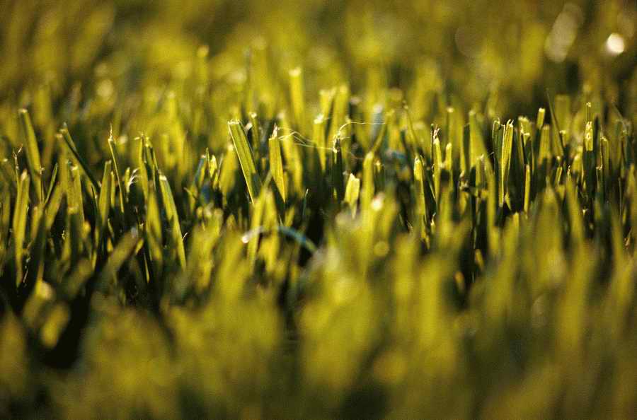 Holidays, Celebrations & Seasons - Photodisc ></a>
<script language=JavaScript> 
  var txt = 