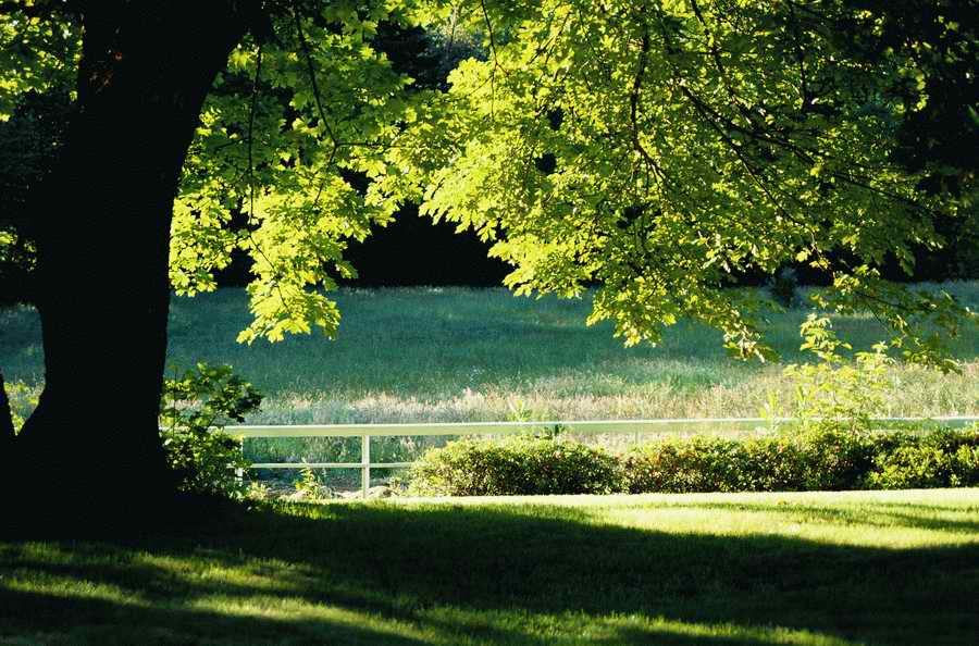 Holidays, Celebrations & Seasons - Photodisc ></a>
<script language=JavaScript> 
  var txt = 