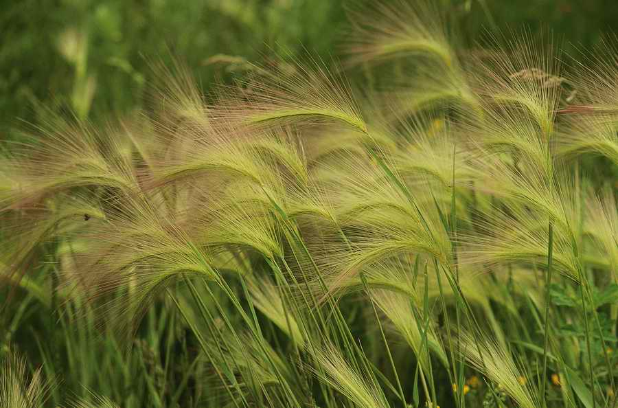 Holidays, Celebrations & Seasons - Photodisc ></a>
<script language=JavaScript> 
  var txt = 