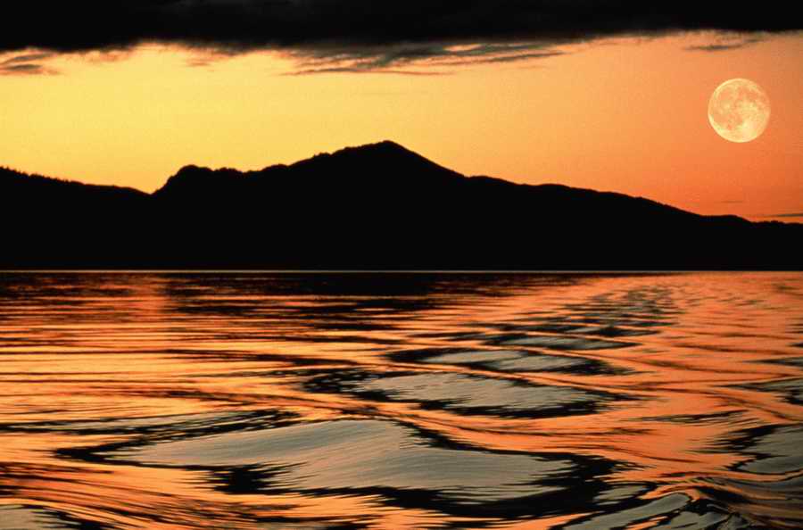 Holidays, Celebrations & Seasons - Photodisc ></a>
<script language=JavaScript> 
  var txt = 