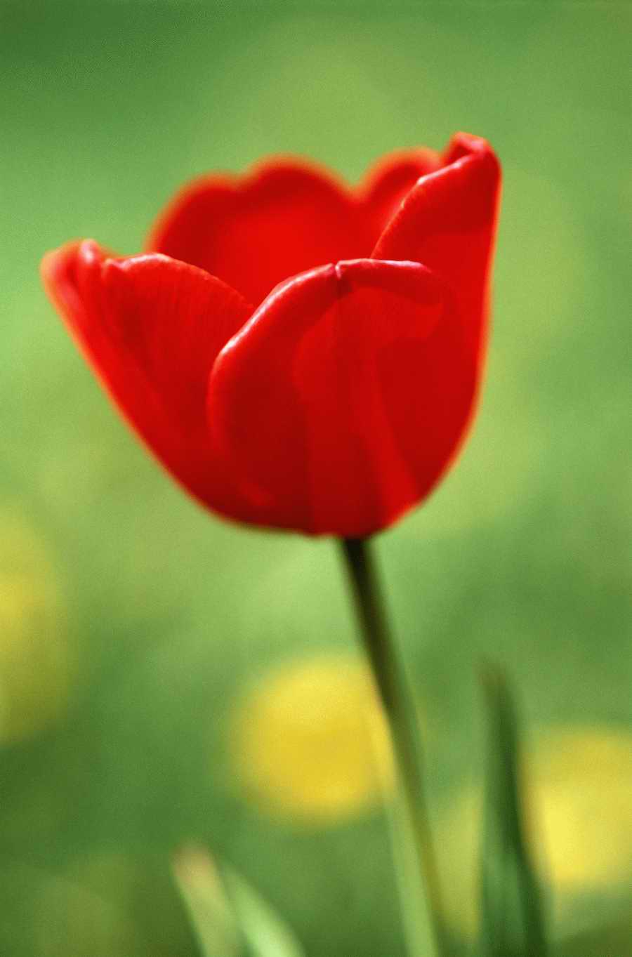 Holidays, Celebrations & Seasons - Photodisc ></a>
<script language=JavaScript> 
  var txt = 