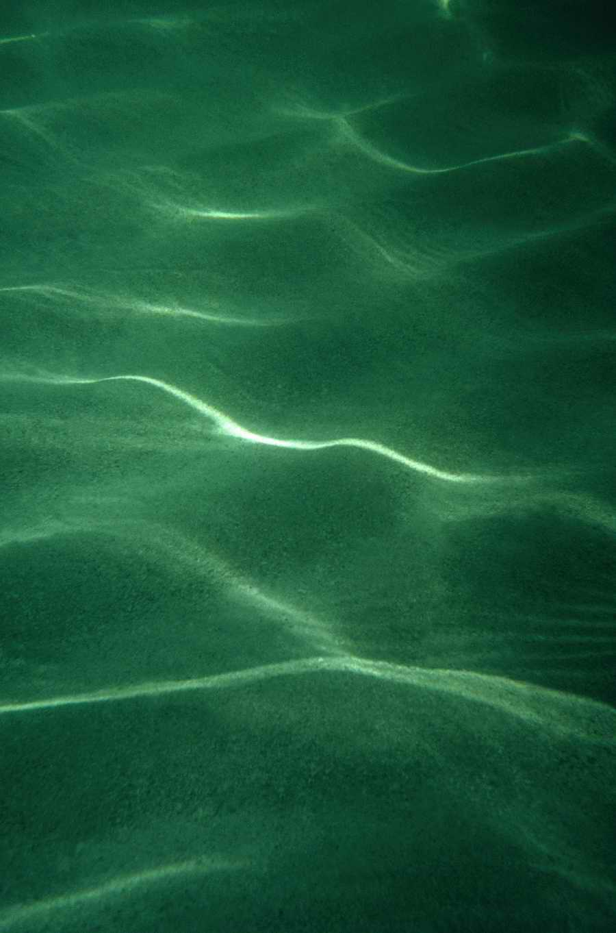 Holidays, Celebrations & Seasons - Photodisc ></a>
<script language=JavaScript> 
  var txt = 