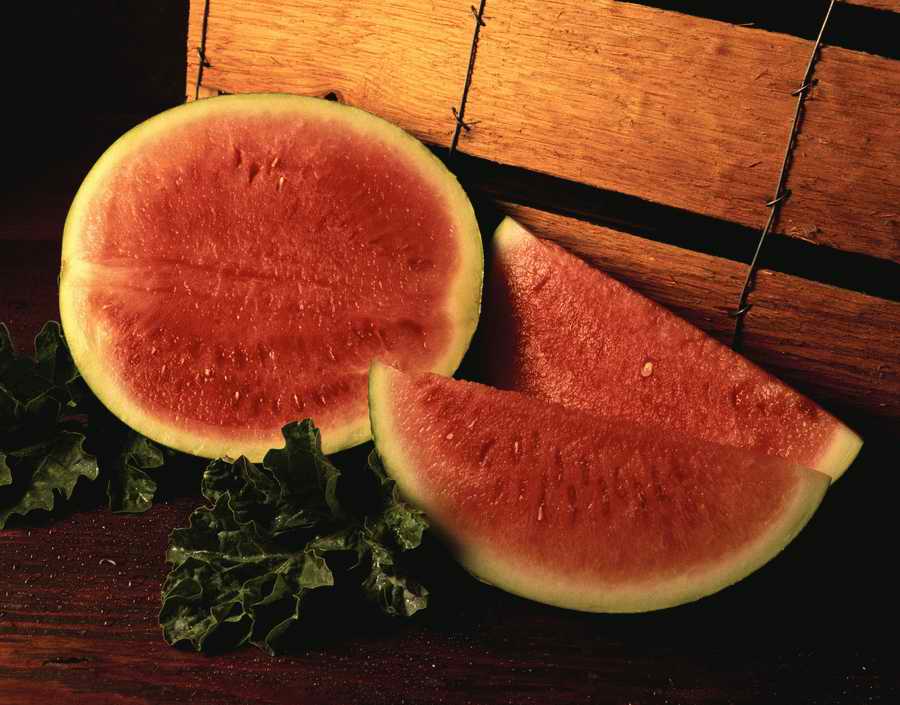 Holidays, Celebrations & Seasons - Photodisc ></a>
<script language=JavaScript> 
  var txt = 