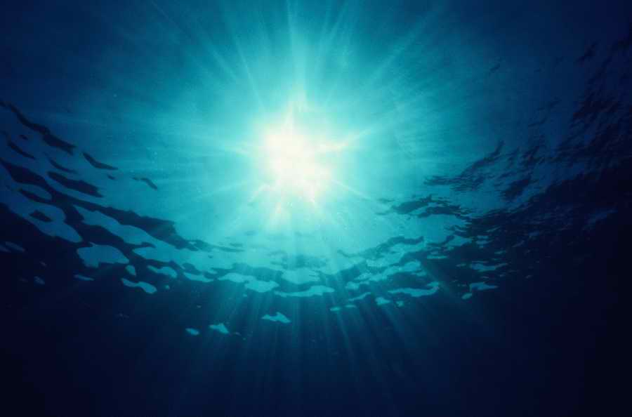 Holidays, Celebrations & Seasons - Photodisc ></a>
<script language=JavaScript> 
  var txt = 