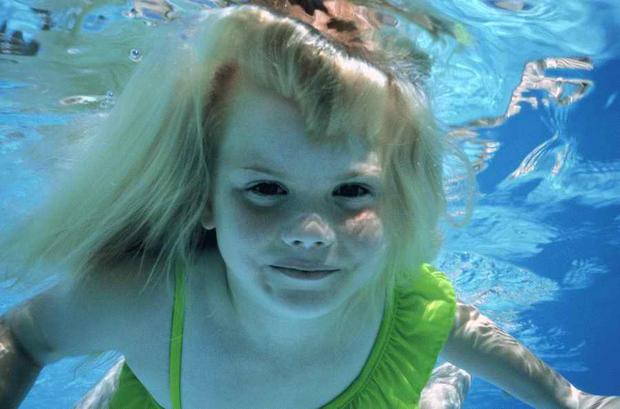 Holidays, Celebrations & Seasons - Photodisc ></a>
<script language=JavaScript> 
  var txt = 