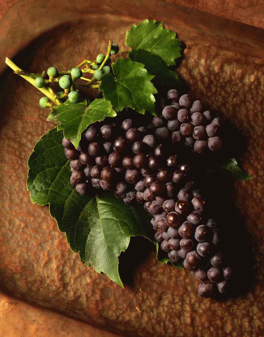 Holidays, Celebrations & Seasons - Photodisc ></a>
<script language=JavaScript> 
  var txt = 