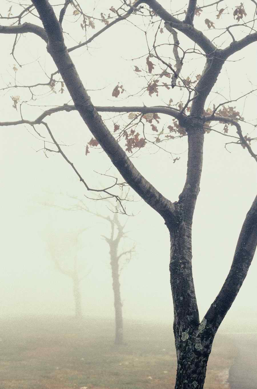 Holidays, Celebrations & Seasons - Photodisc ></a>
<script language=JavaScript> 
  var txt = 