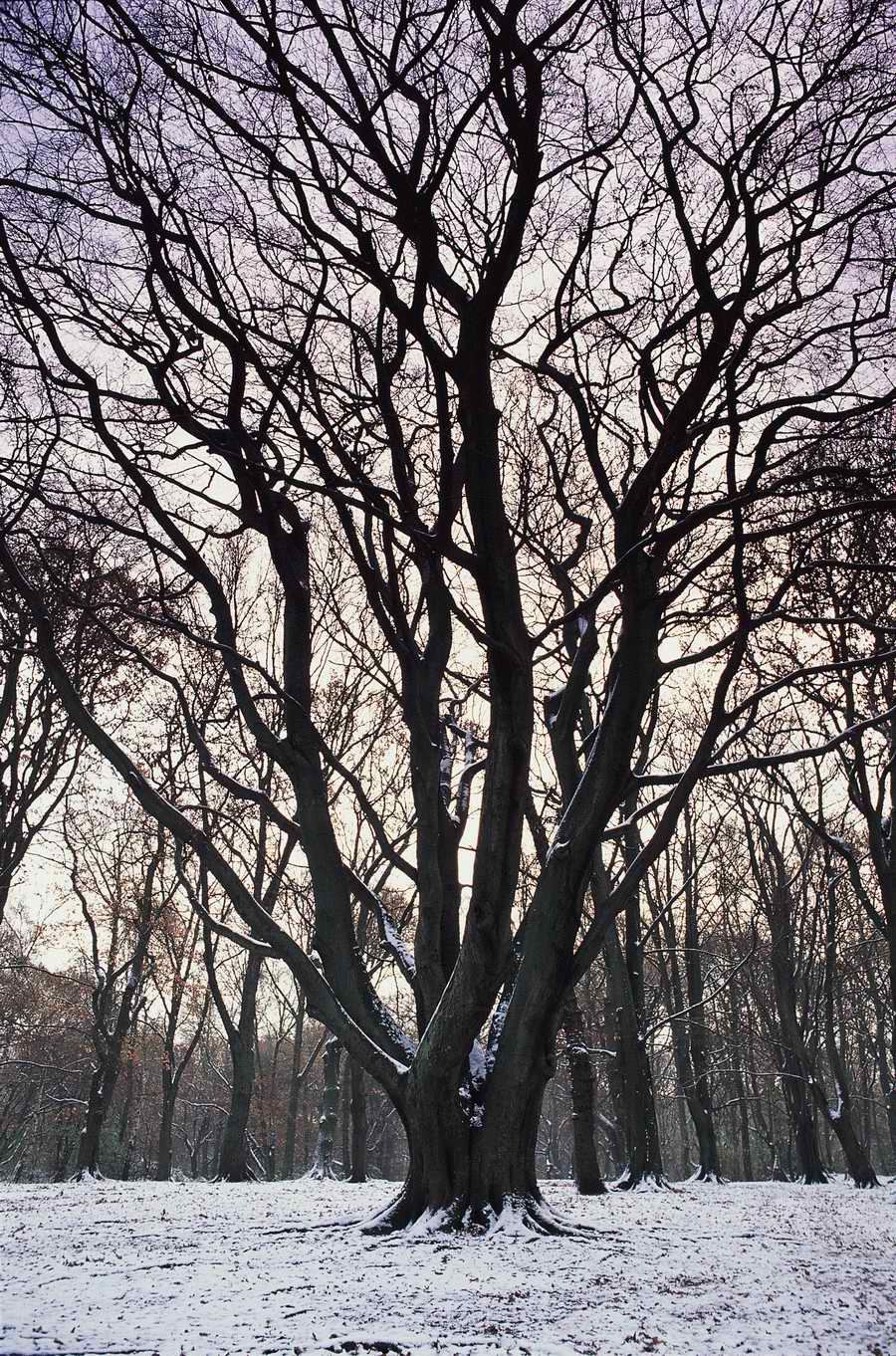 Holidays, Celebrations & Seasons - Photodisc ></a>
<script language=JavaScript> 
  var txt = 