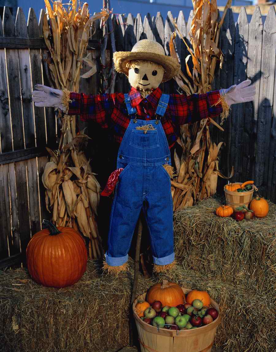 Holidays, Celebrations & Seasons - Photodisc ></a>
<script language=JavaScript> 
  var txt = 